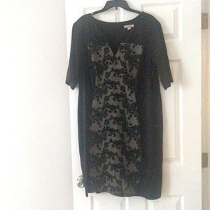 Established 1962 Black and Nude Lace Dress, Size 22